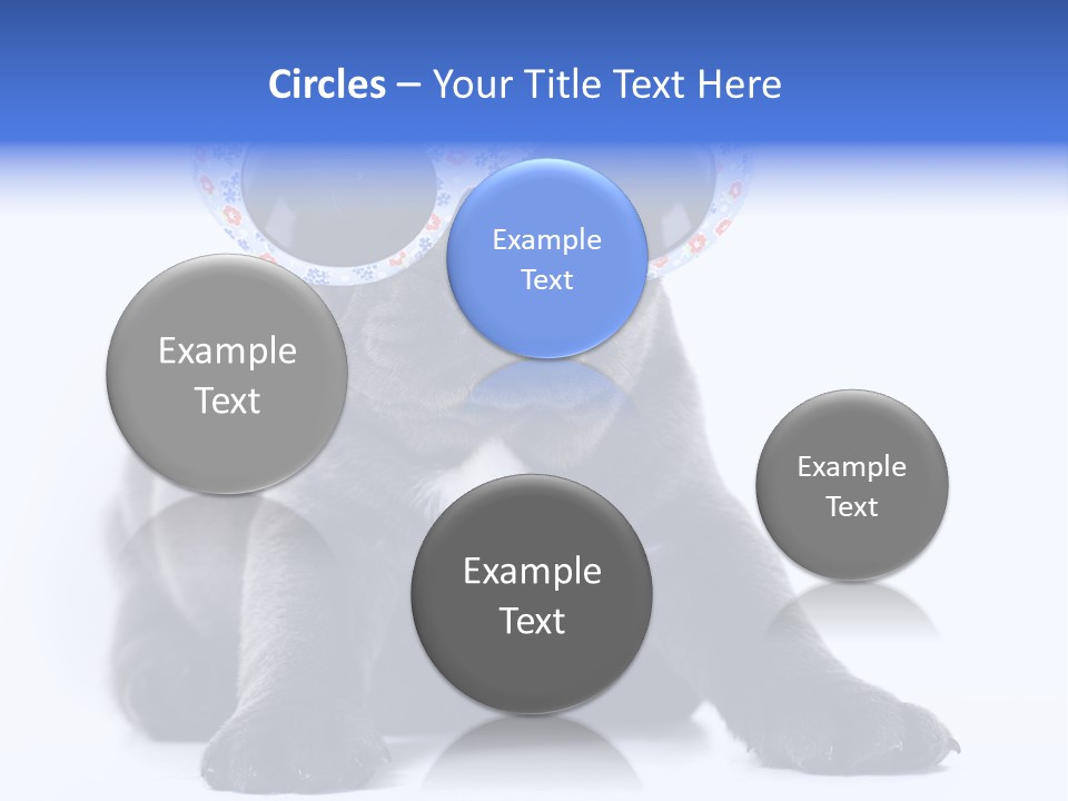 Studio Canine Ugly PowerPoint Template