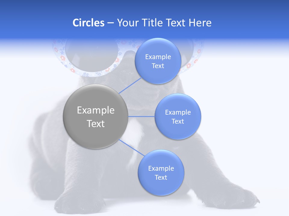 Studio Canine Ugly PowerPoint Template