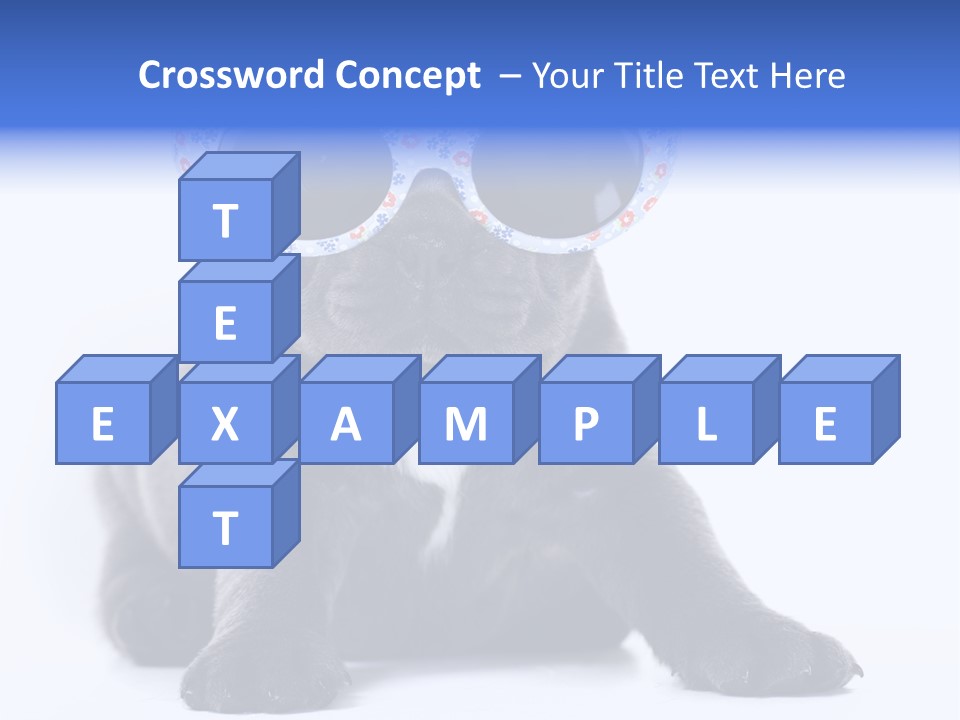 Studio Canine Ugly PowerPoint Template