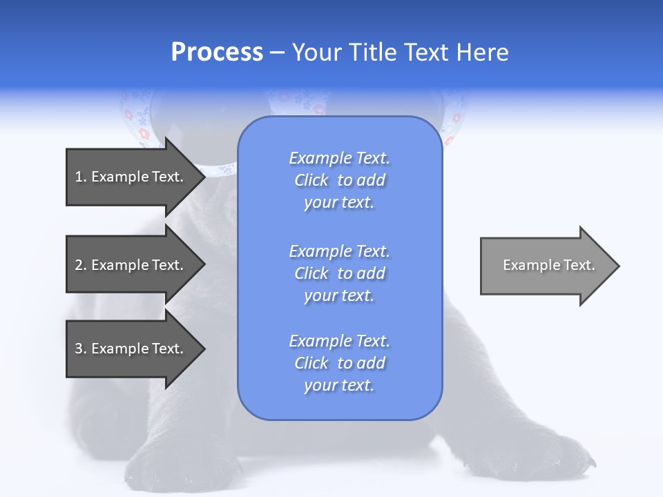 Studio Canine Ugly PowerPoint Template