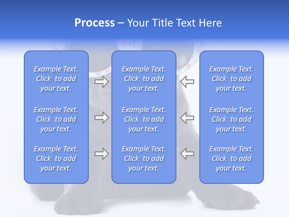 Studio Canine Ugly PowerPoint Template