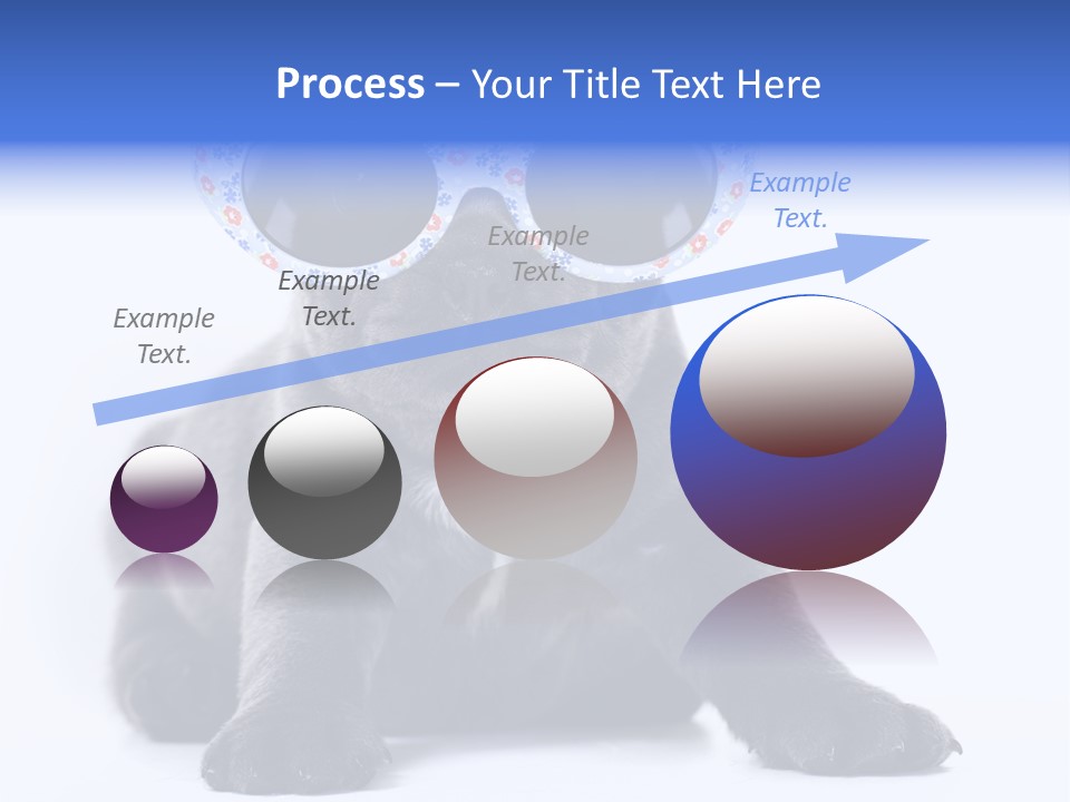 Studio Canine Ugly PowerPoint Template