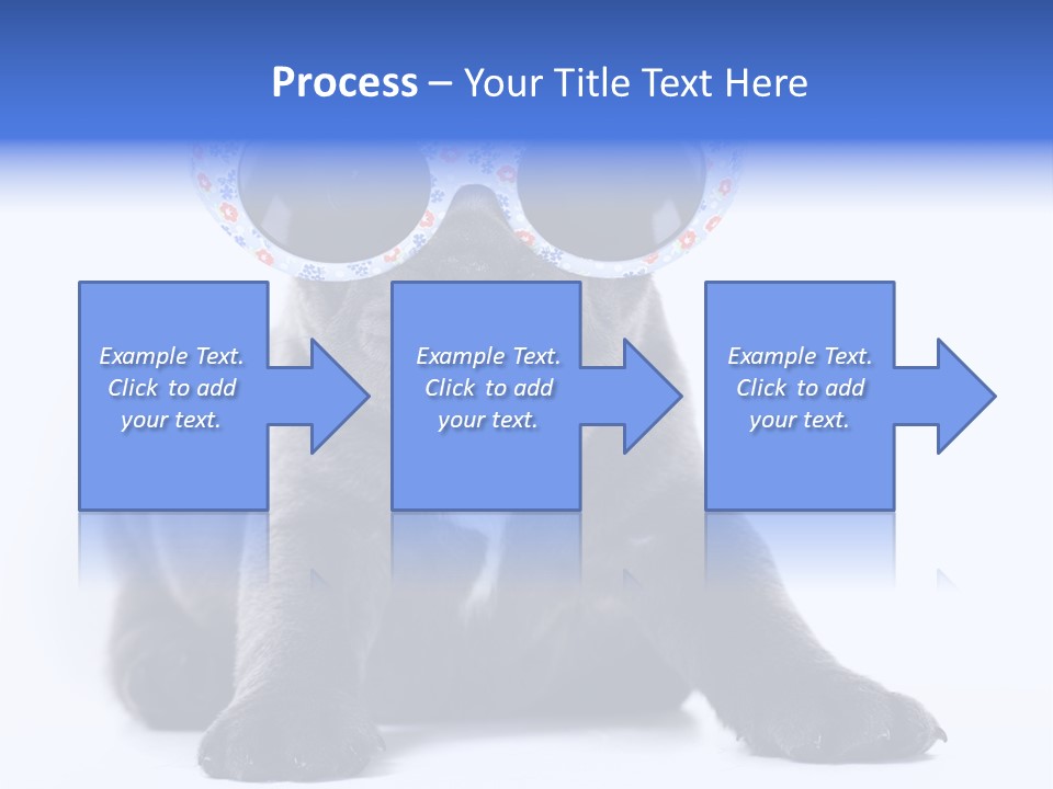 Studio Canine Ugly PowerPoint Template