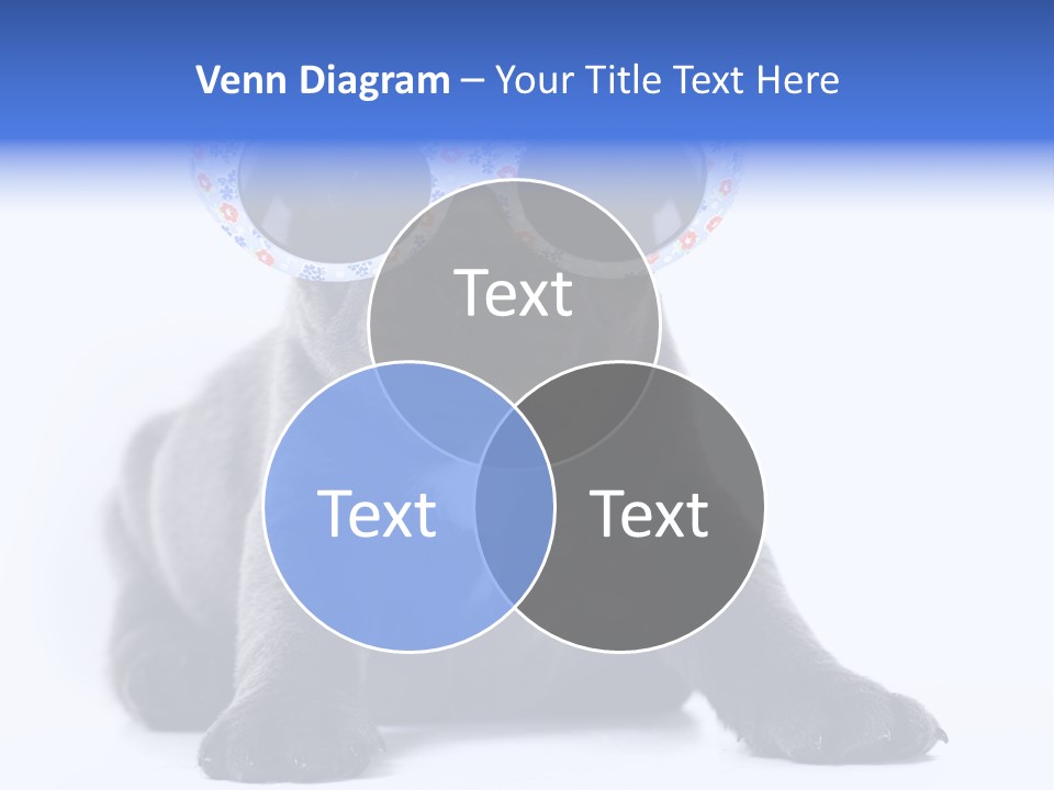 Studio Canine Ugly PowerPoint Template