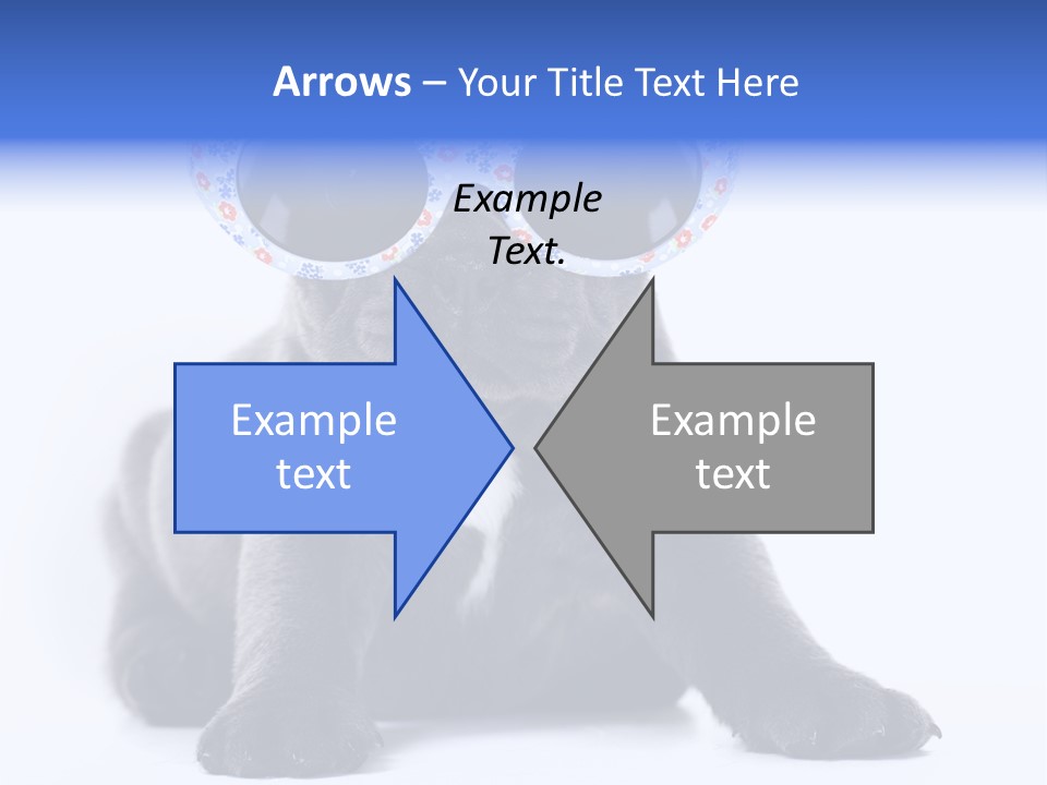 Studio Canine Ugly PowerPoint Template