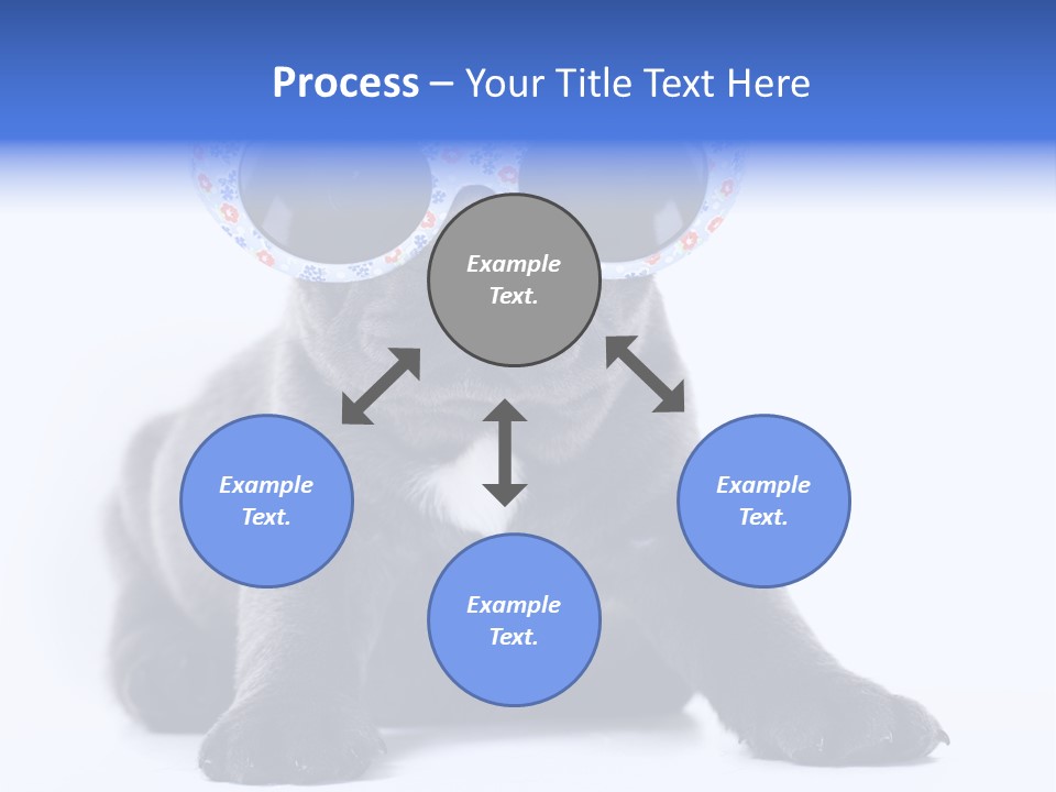 Studio Canine Ugly PowerPoint Template