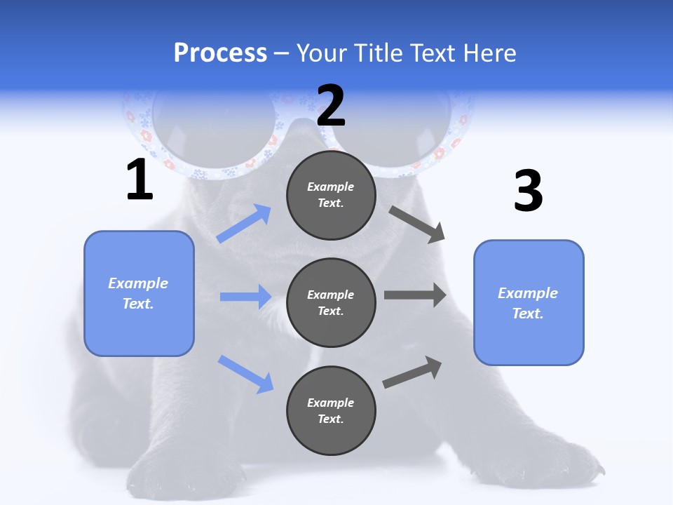 Studio Canine Ugly PowerPoint Template