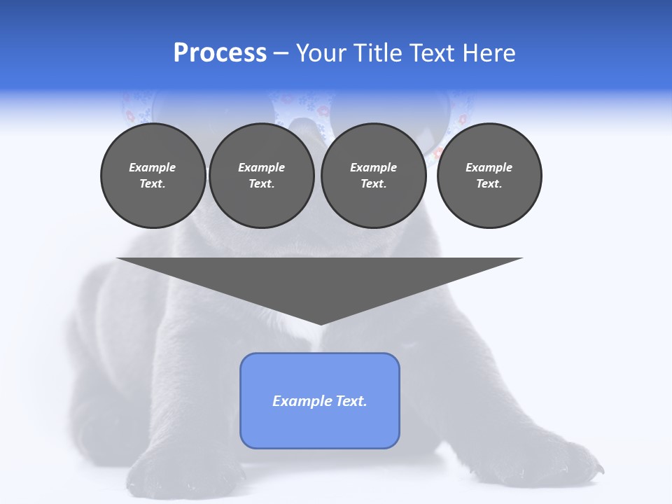 Studio Canine Ugly PowerPoint Template