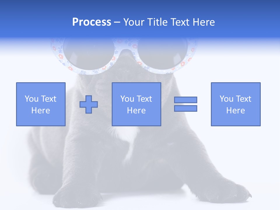 Studio Canine Ugly PowerPoint Template