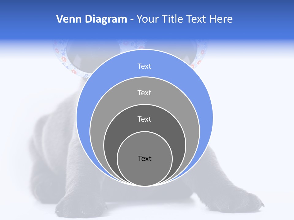 Studio Canine Ugly PowerPoint Template