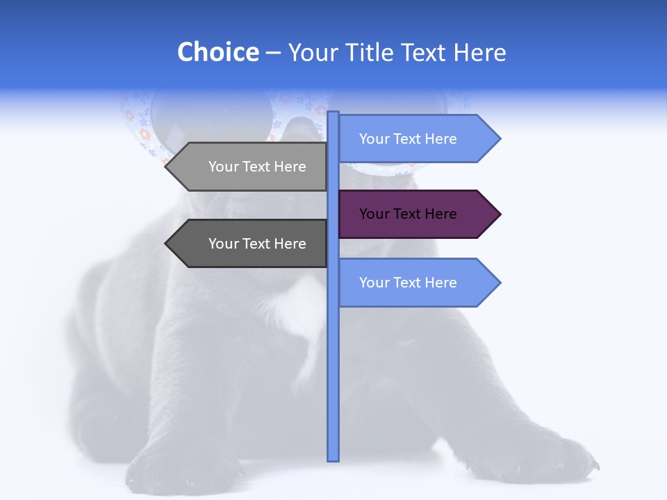 Studio Canine Ugly PowerPoint Template