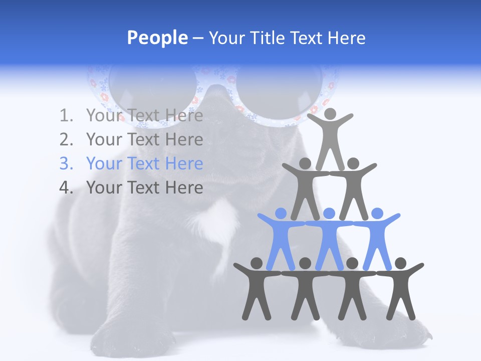 Studio Canine Ugly PowerPoint Template