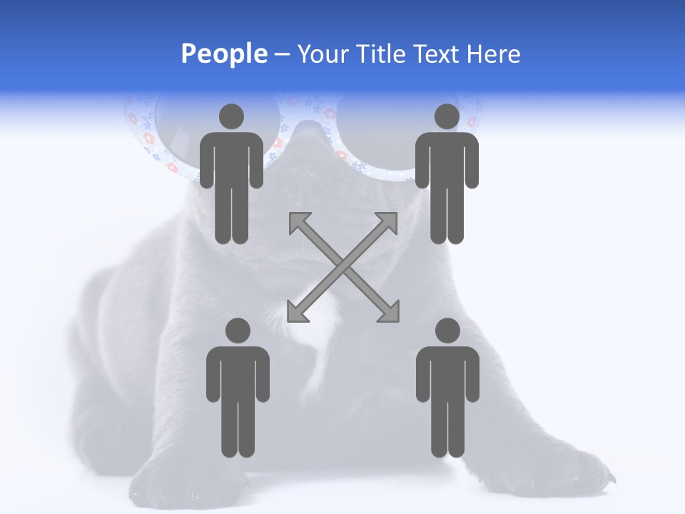 Studio Canine Ugly PowerPoint Template