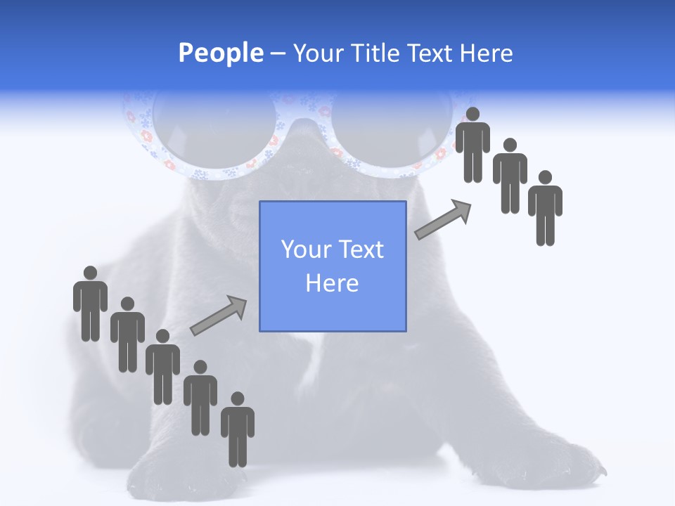 Studio Canine Ugly PowerPoint Template