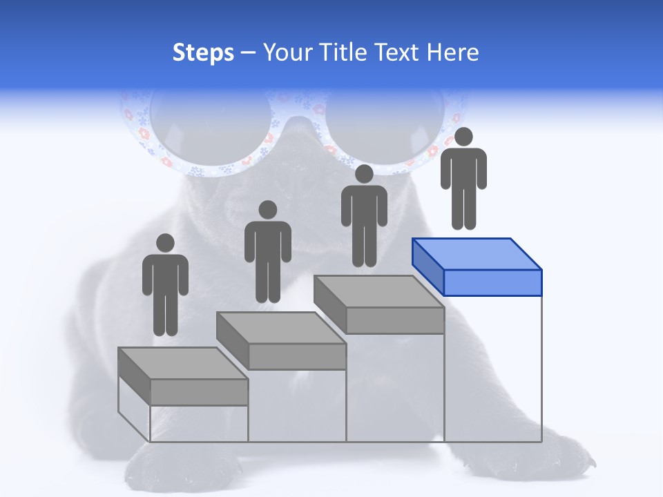 Studio Canine Ugly PowerPoint Template