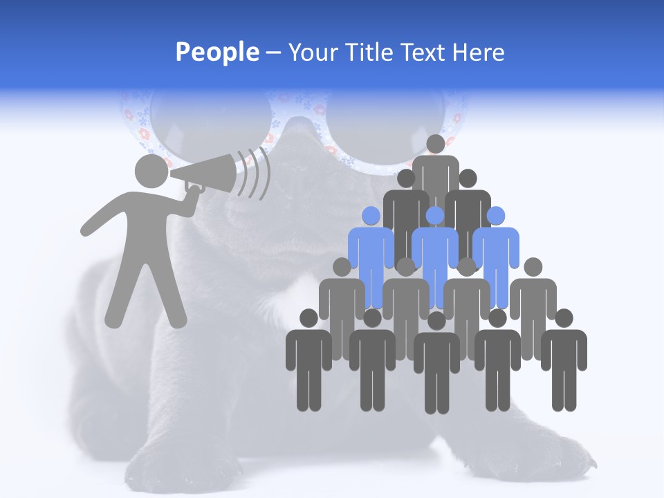 Studio Canine Ugly PowerPoint Template