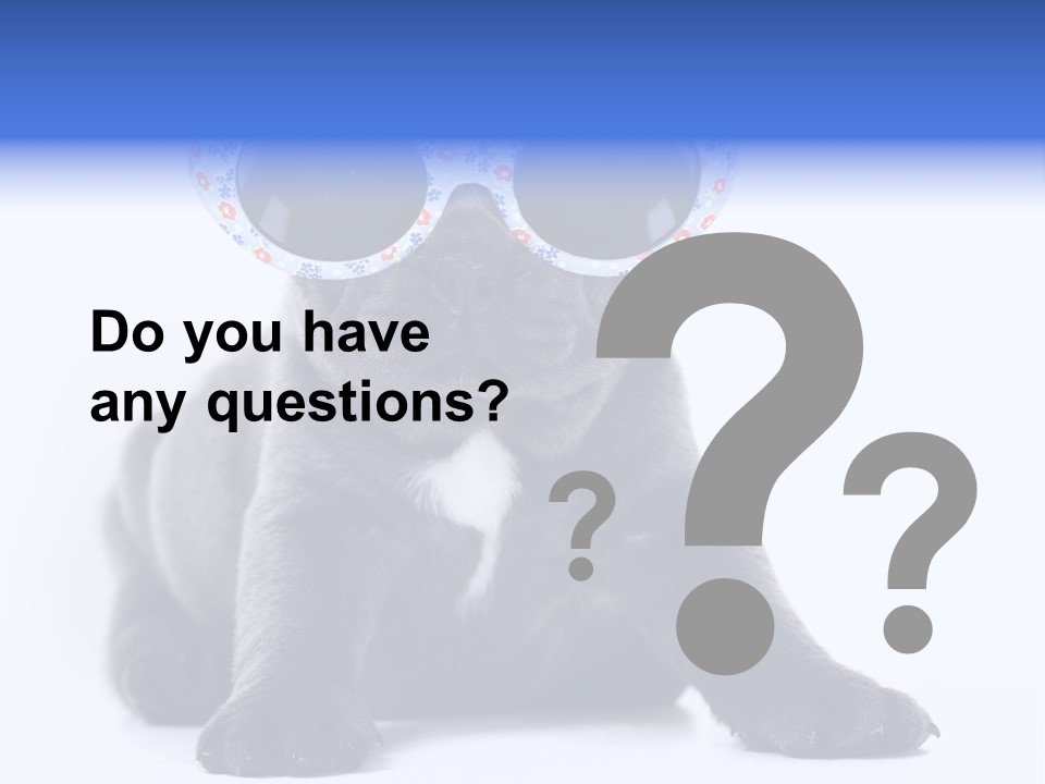 Studio Canine Ugly PowerPoint Template