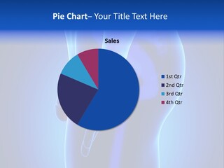 Testis Vas Deferens Body PowerPoint Template