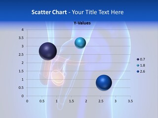 Testis Vas Deferens Body PowerPoint Template