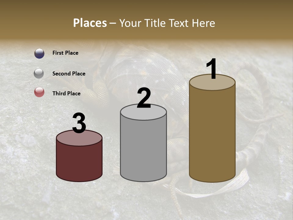 Tail Lizard Crotaphytus Collaris PowerPoint Template