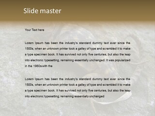 Tail Lizard Crotaphytus Collaris PowerPoint Template