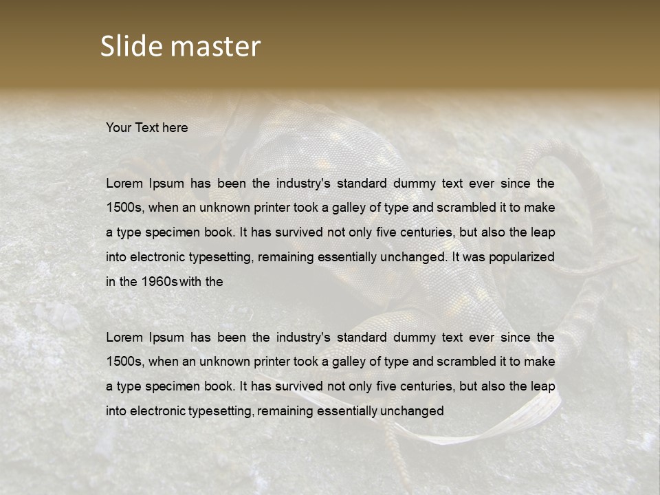 Tail Lizard Crotaphytus Collaris PowerPoint Template