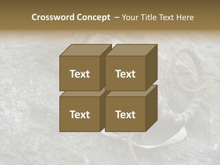 Tail Lizard Crotaphytus Collaris PowerPoint Template