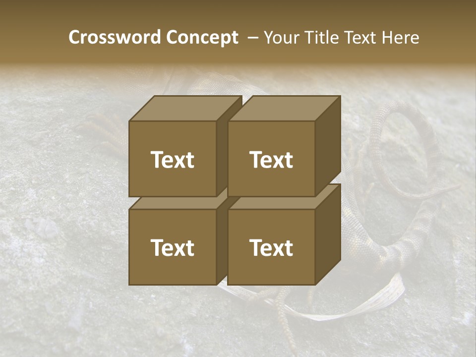 Tail Lizard Crotaphytus Collaris PowerPoint Template