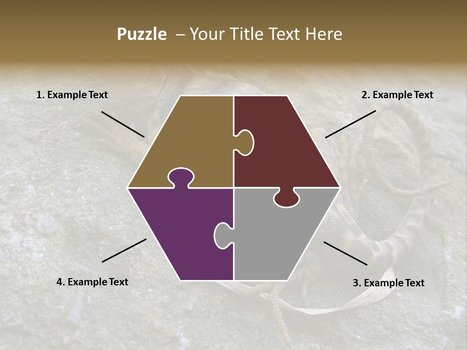 Tail Lizard Crotaphytus Collaris PowerPoint Template