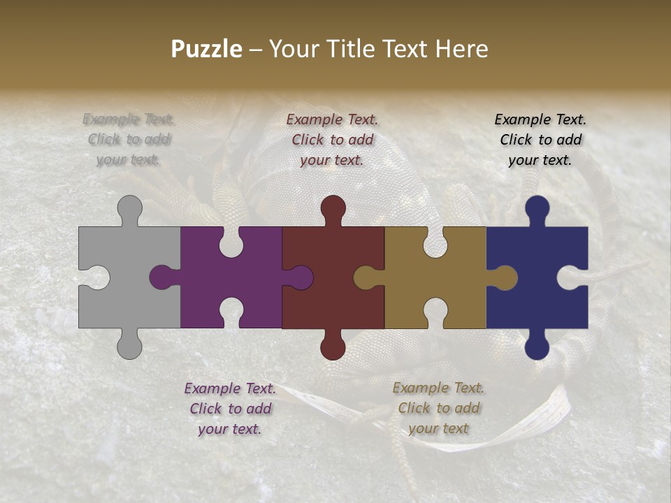 Tail Lizard Crotaphytus Collaris PowerPoint Template