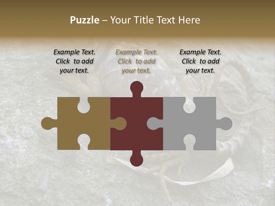 Tail Lizard Crotaphytus Collaris PowerPoint Template