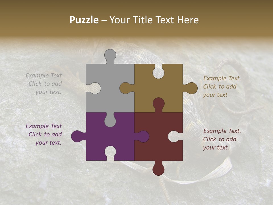 Tail Lizard Crotaphytus Collaris PowerPoint Template