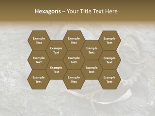 Tail Lizard Crotaphytus Collaris PowerPoint Template