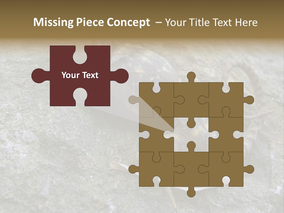 Tail Lizard Crotaphytus Collaris PowerPoint Template