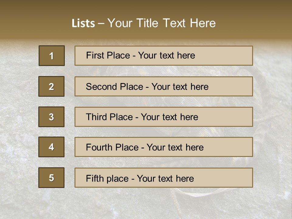 Tail Lizard Crotaphytus Collaris PowerPoint Template
