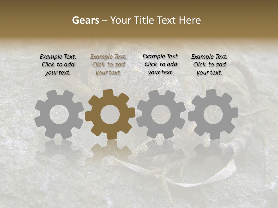 Tail Lizard Crotaphytus Collaris PowerPoint Template