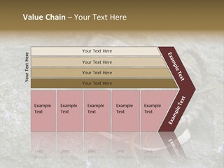 Tail Lizard Crotaphytus Collaris PowerPoint Template