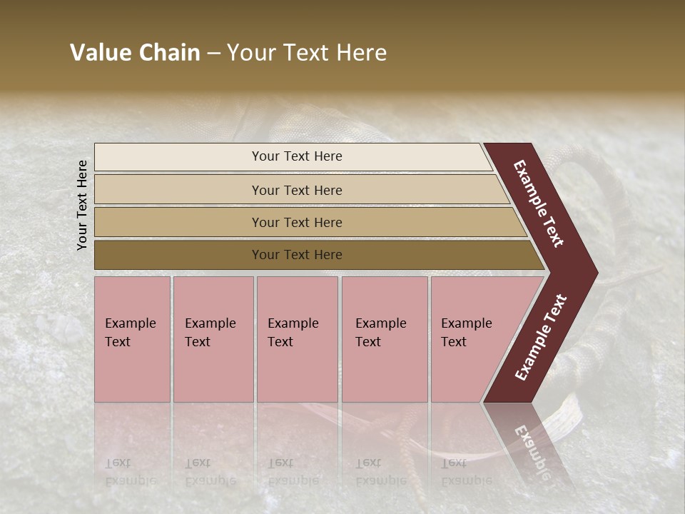 Tail Lizard Crotaphytus Collaris PowerPoint Template