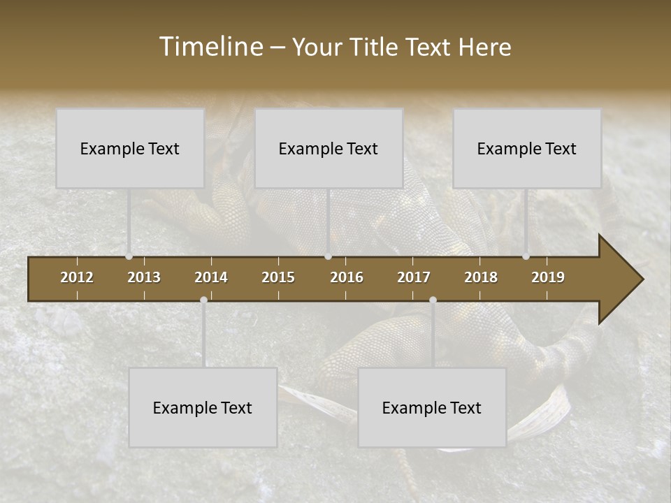 Tail Lizard Crotaphytus Collaris PowerPoint Template