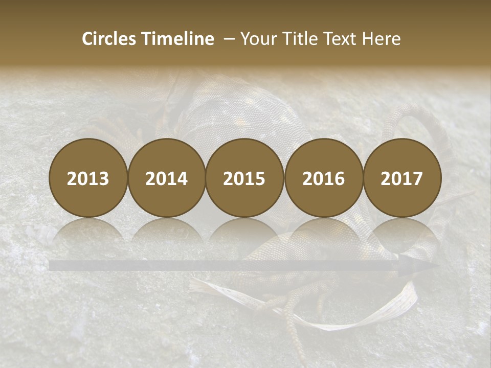 Tail Lizard Crotaphytus Collaris PowerPoint Template