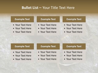 Tail Lizard Crotaphytus Collaris PowerPoint Template