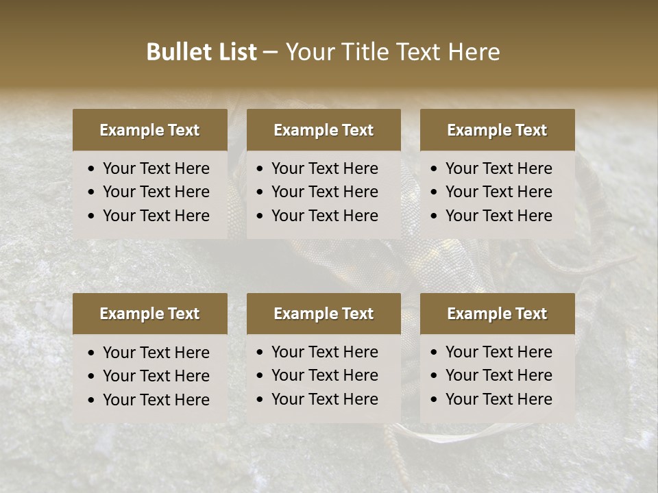 Tail Lizard Crotaphytus Collaris PowerPoint Template