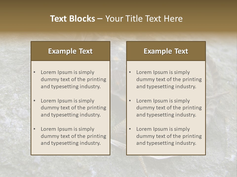 Tail Lizard Crotaphytus Collaris PowerPoint Template