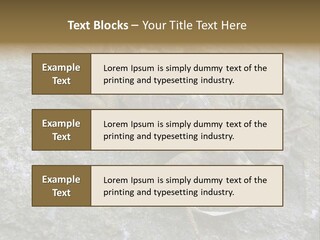 Tail Lizard Crotaphytus Collaris PowerPoint Template