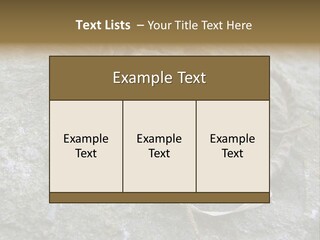 Tail Lizard Crotaphytus Collaris PowerPoint Template