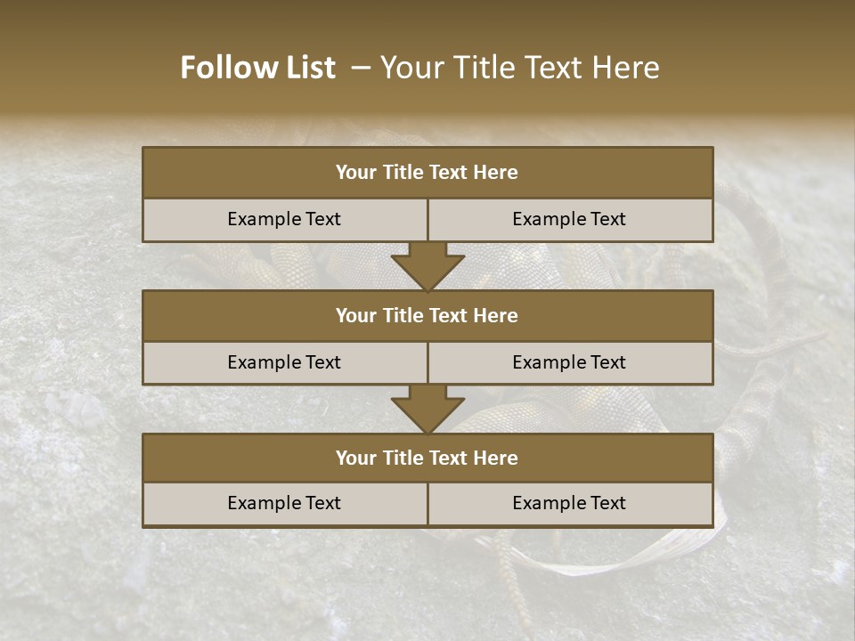 Tail Lizard Crotaphytus Collaris PowerPoint Template