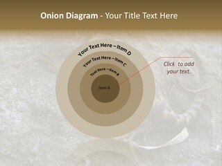 Tail Lizard Crotaphytus Collaris PowerPoint Template