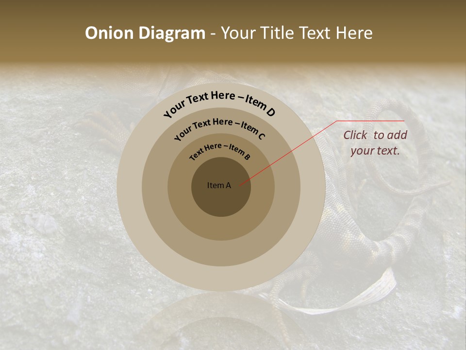 Tail Lizard Crotaphytus Collaris PowerPoint Template