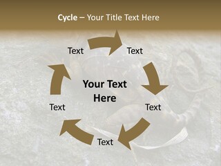 Tail Lizard Crotaphytus Collaris PowerPoint Template