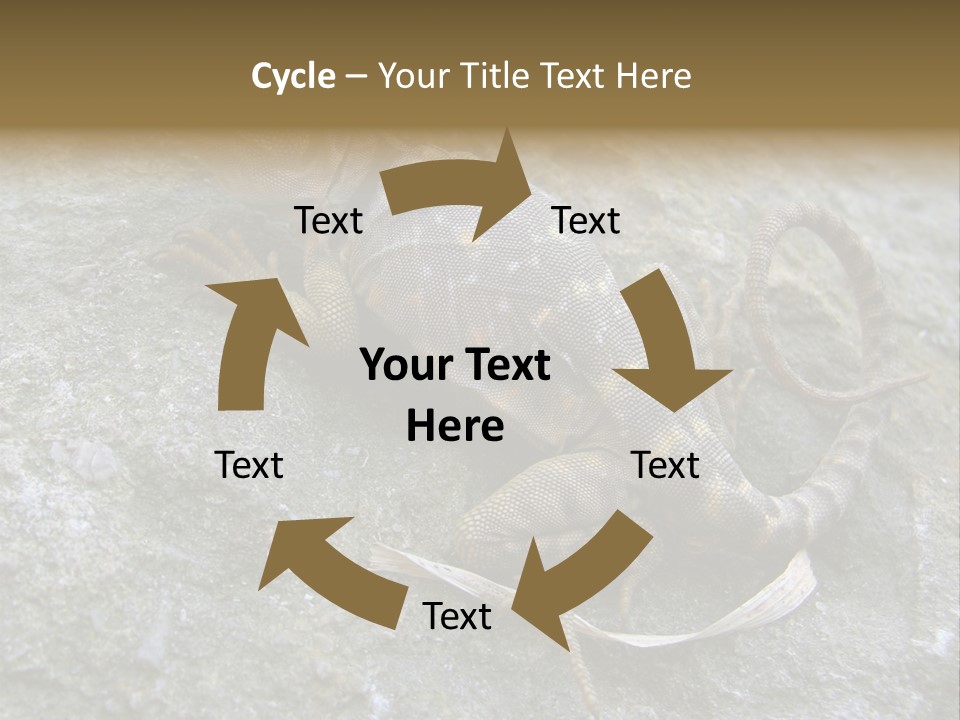 Tail Lizard Crotaphytus Collaris PowerPoint Template